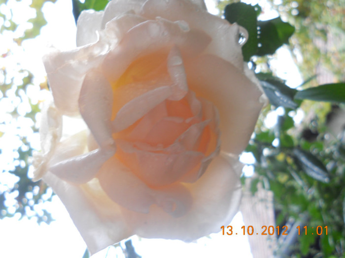 DSCN2106