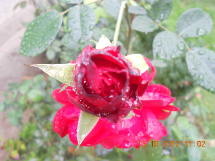 DSCN2111