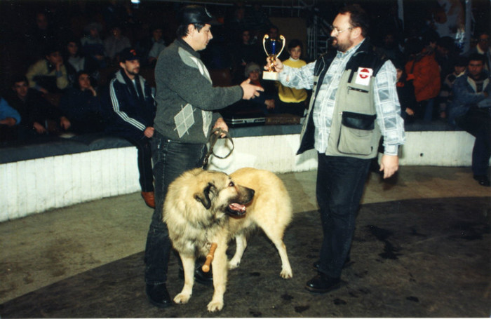 CANISA DE VALENI CIRC 1998 - Finala Bucuresti 1998