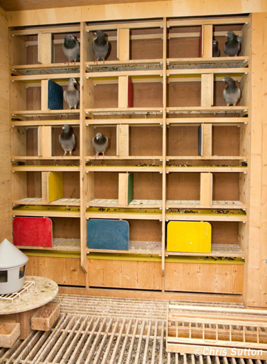 309131_4215468837180_1226669420_n