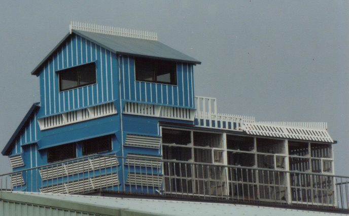 309740_108424699267993_195211407_n