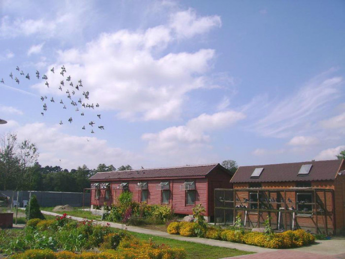 375847_316700615094271_1838643496_n