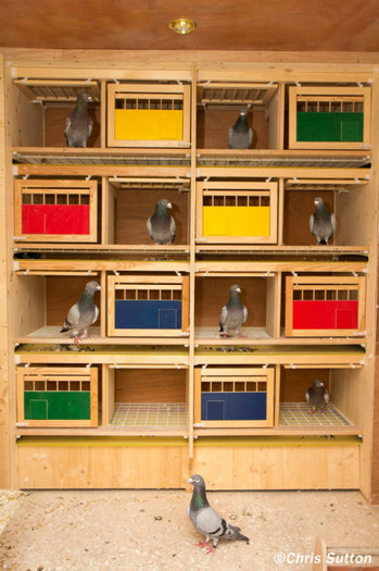 377289_4215462517022_1852880382_n