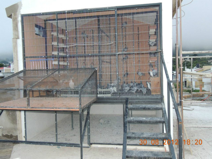 383181_409533299106625_1729349169_n