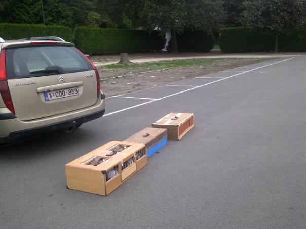 395314_370049073065487_939388992_n