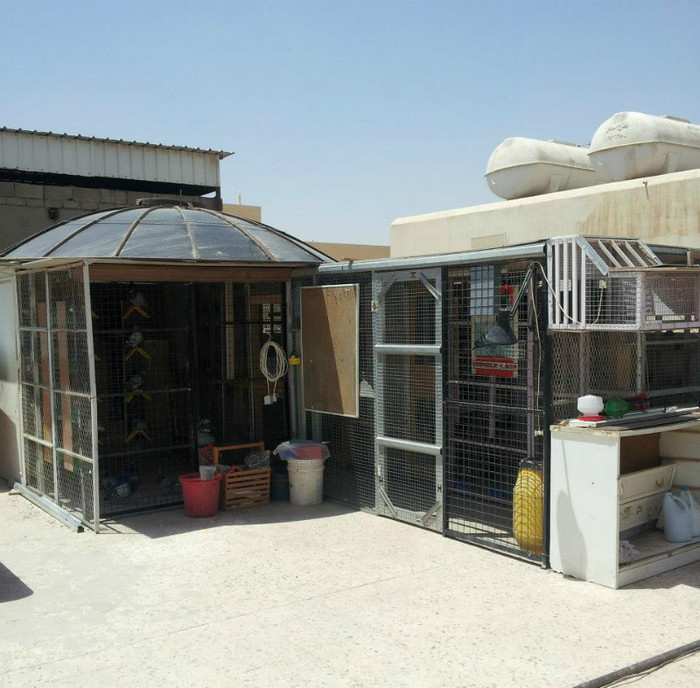 419999_470589236293632_1718459312_n