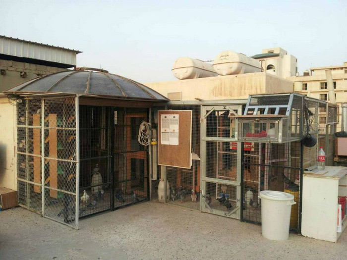 421660_476898785662677_891647588_n