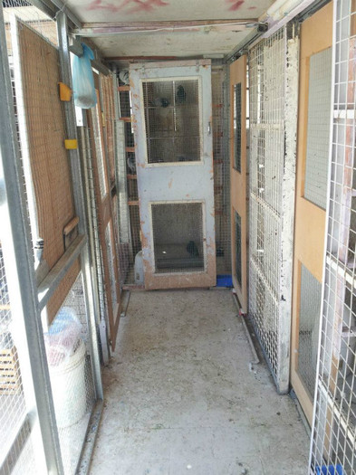 480770_470589682960254_268387461_n