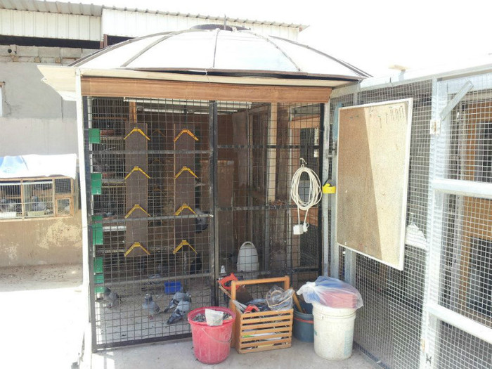 484042_470589379626951_1195259487_n