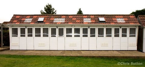 523171_4215465117087_254609710_n