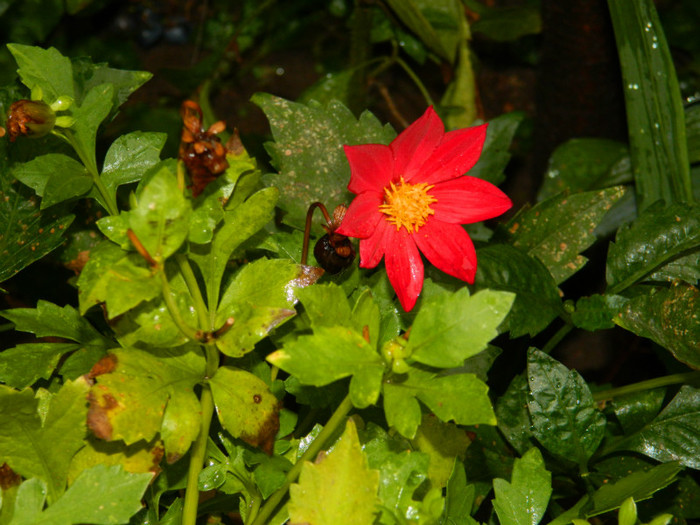 DSCN8904