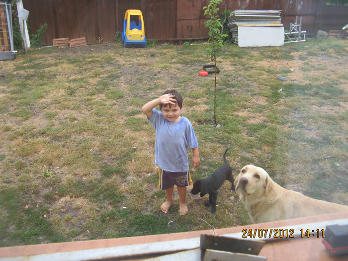 IMG_2878 - puiutul meu