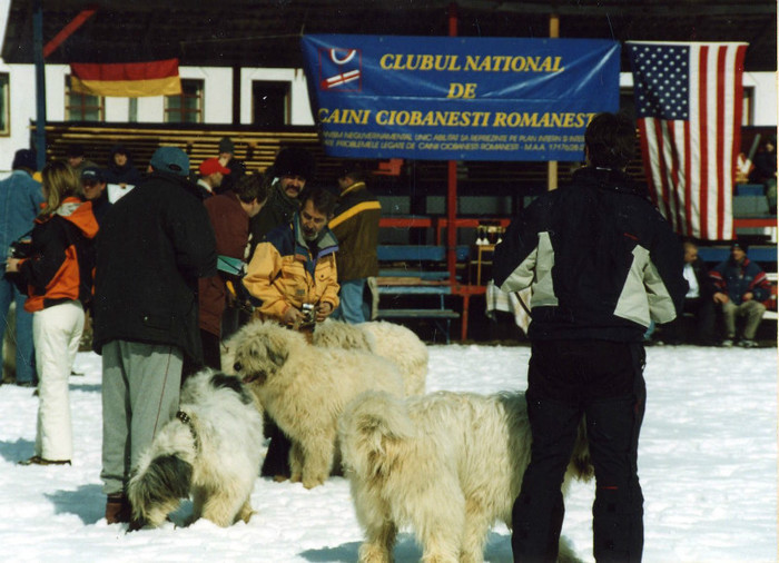 BRASOV 2004 CHIVU SI COSTI - Brasov 2004