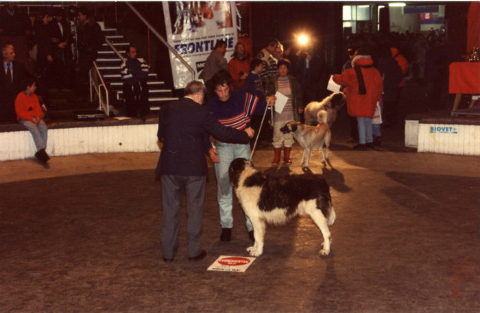 CIRC 1998 CRC - Finala Bucuresti 1998