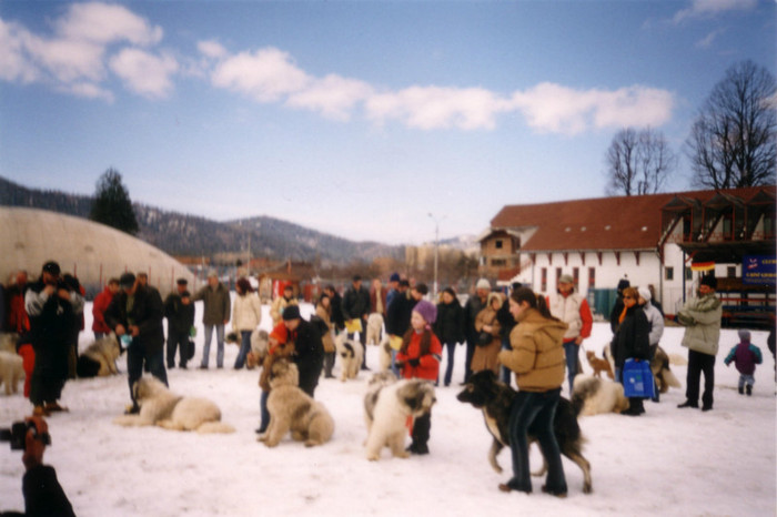 Ciobanesti Romanesti0001 2004 - Brasov 2004