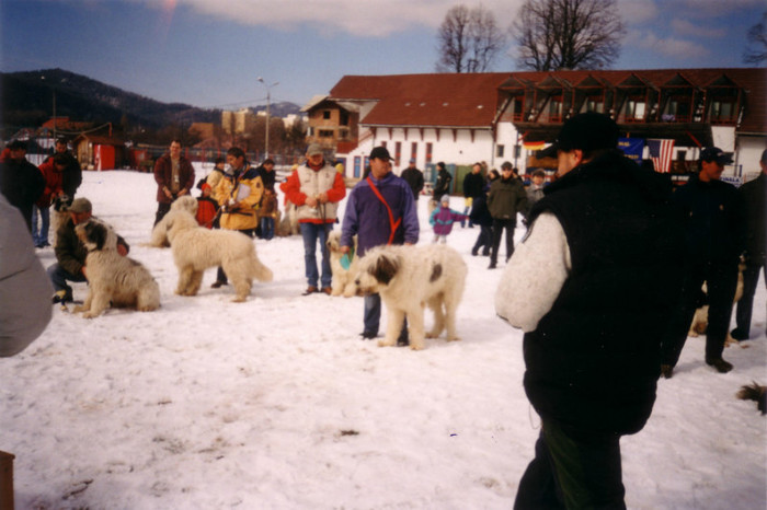 Ciobanesti Romanesti0003 bv 2004 - Brasov 2004