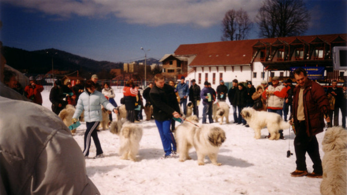 Ciobanesti Romanesti0004 bv 2004 - Brasov 2004