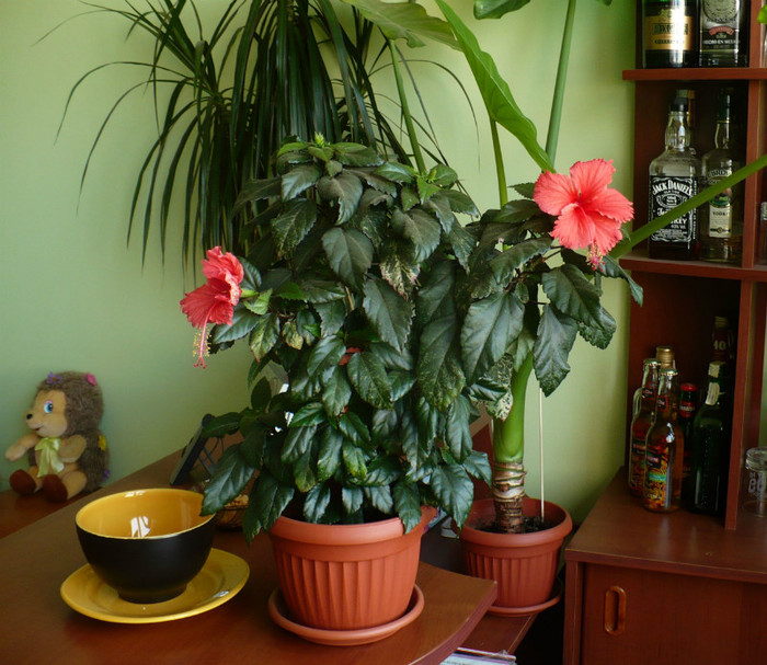 P1400984