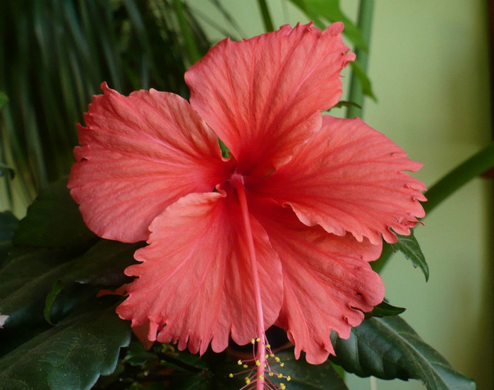 P1400985