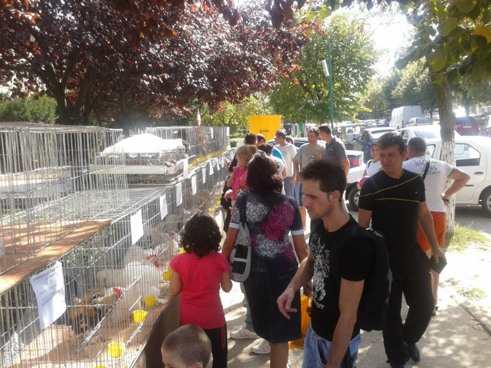 Lumea din Mioveni curioasa - Expozitia Sarbatoarea Recoltei Mioveni 2012