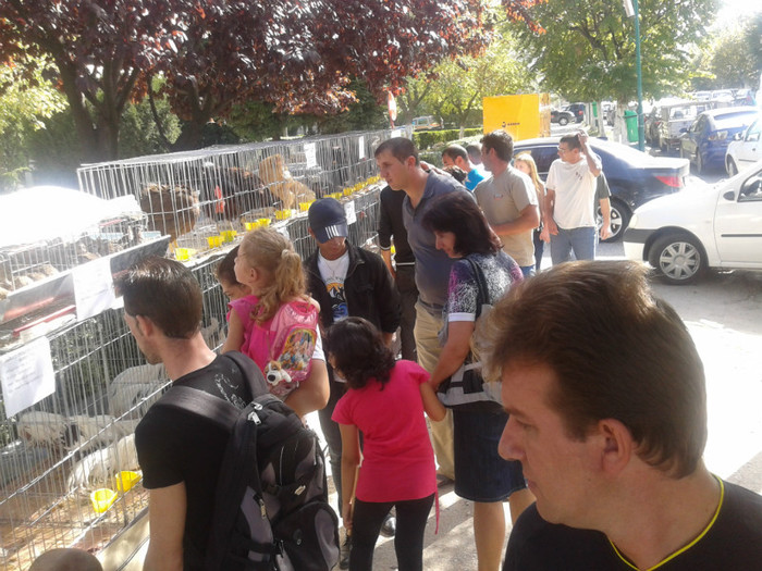 Lumea din Mioveni curioasa - Expozitia Sarbatoarea Recoltei Mioveni 2012