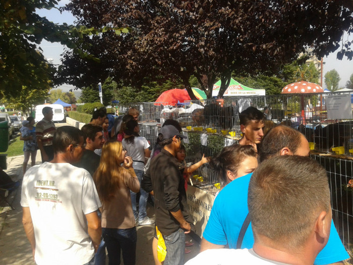 Lumea din Mioveni curioasa - Expozitia Sarbatoarea Recoltei Mioveni 2012