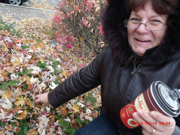st-sauveur 092
