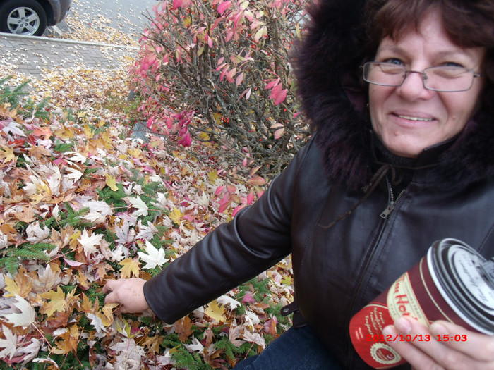 st-sauveur 093