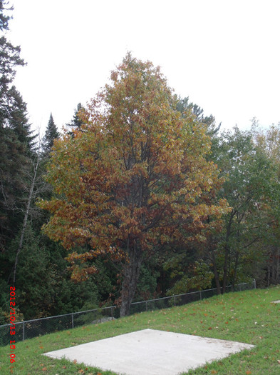 st-sauveur 096