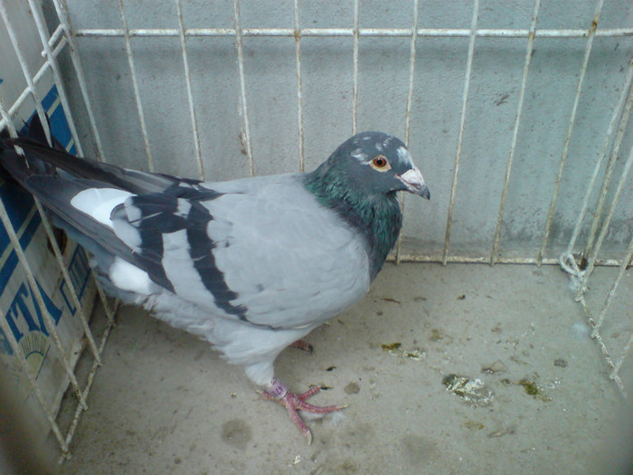 Ro 07-147878 vandut