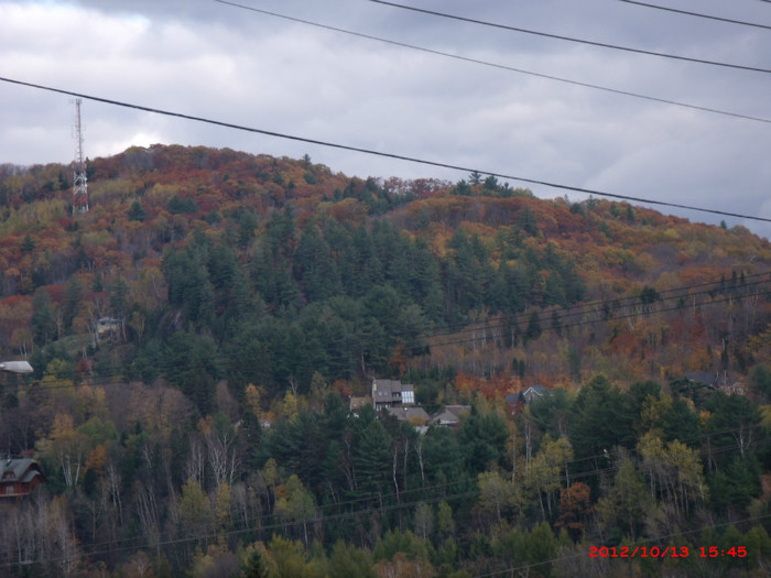 st-sauveur 105