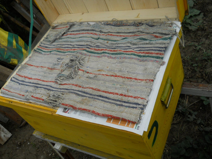 Protectie de iarna:folie,ziar si pres