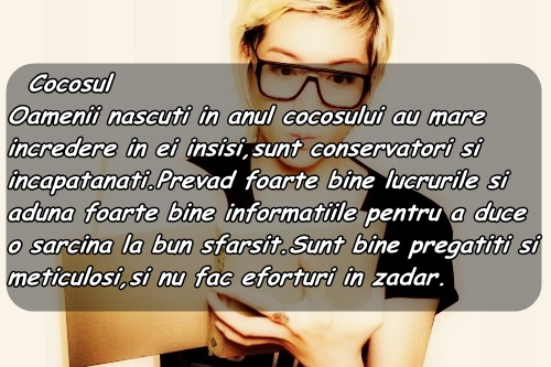  - Zodiacul Coreean