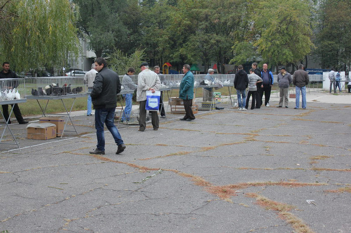 hranul chisinau 12 002b - Targul Chisinau 2012