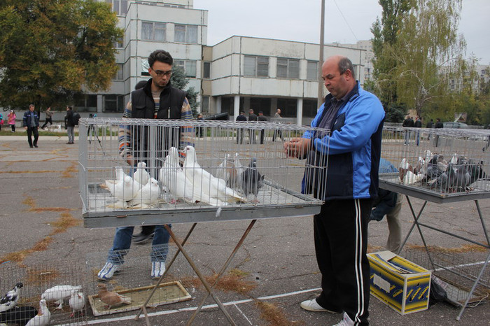 hranul chisinau 12 015b - Targul Chisinau 2012