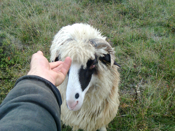 Fotografie0279 - toamna lui 2012