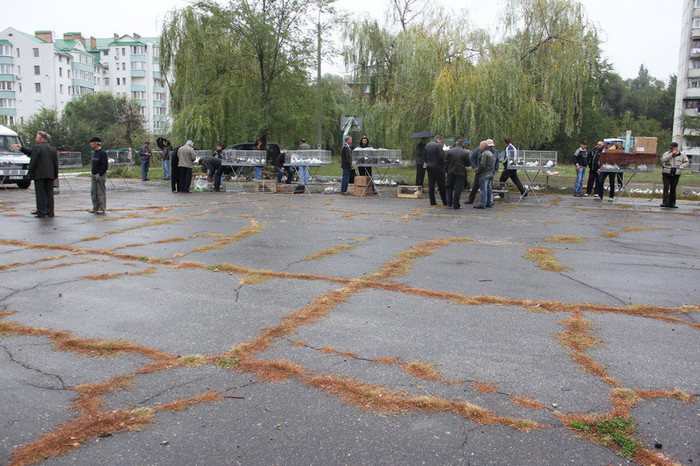 hranul chisinau 12 039b