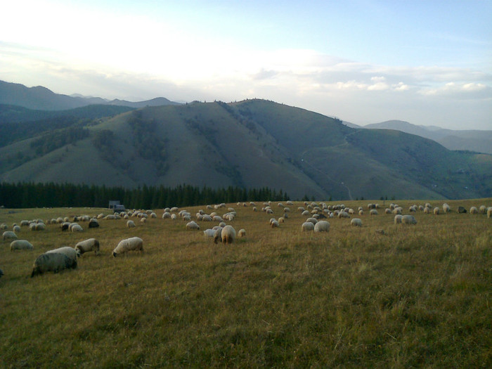 Fotografie0522 - toamna lui 2012