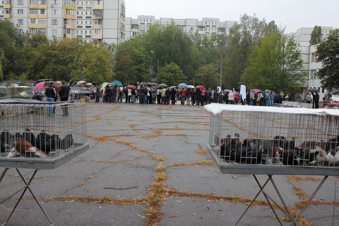 hranul chisinau 12 042b