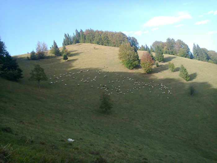 Fotografie0569 - toamna lui 2012