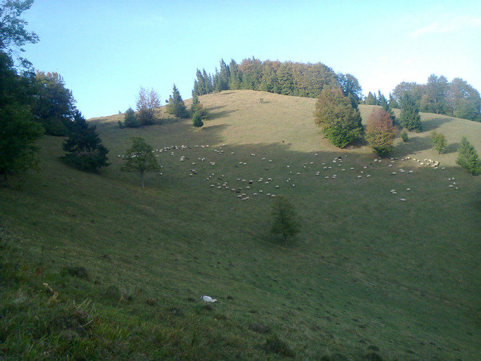 Fotografie0576 - toamna lui 2012