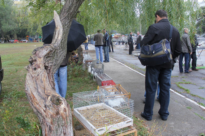 hranul chisinau 12 044b