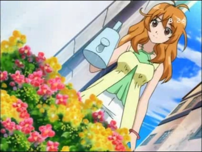 Alice-waters-the-flowers-alice-gehabich-13062945-1024-768