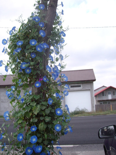 IMGP3766