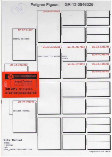 GR 946326-2012 F Loc 3 AS porumbelsi 38 finala - Loc 3 AS 1 HS3 si 38 fin Euro F