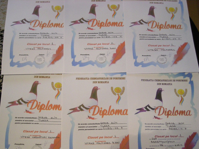 DIPLOME 2012