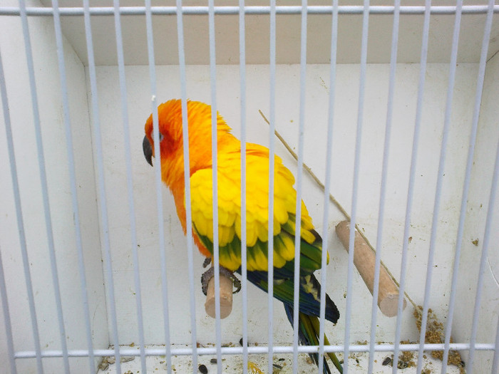 14102012095