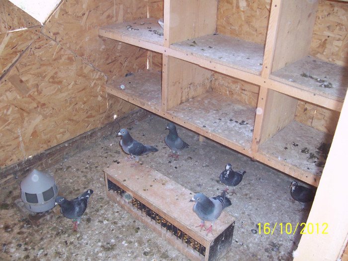 LA MATCA - f CAMPIONII 2012