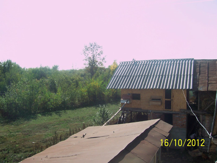 LA BALCON II ASTEAPTA TATA