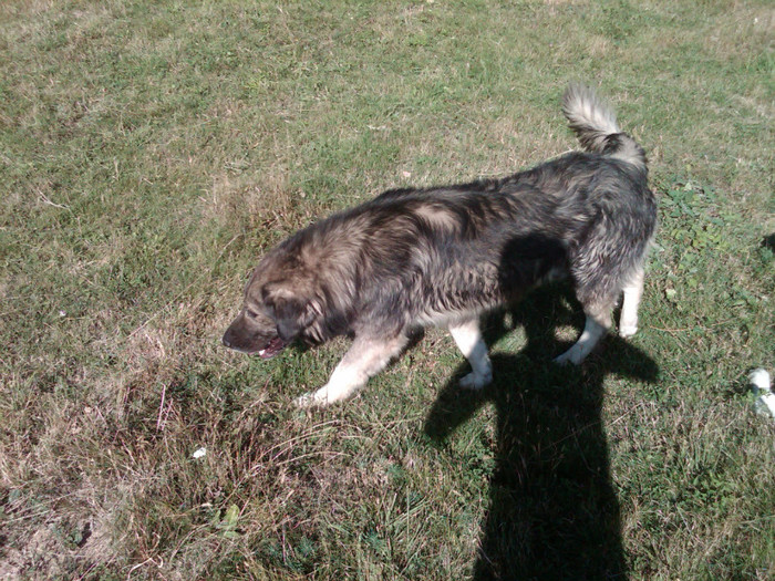 IMG00010-20121002-1500